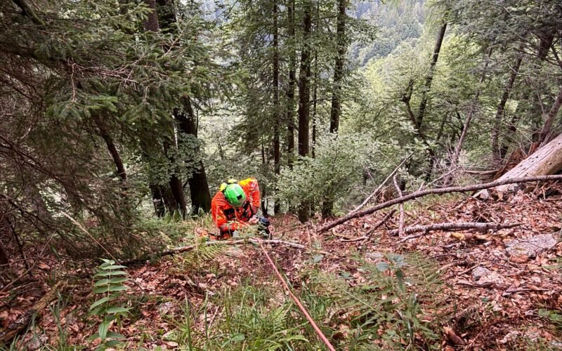 FORNI AVOLTRI: ESCURSIONISTA TRATTA IN SALVO A MALGA TUGLIA