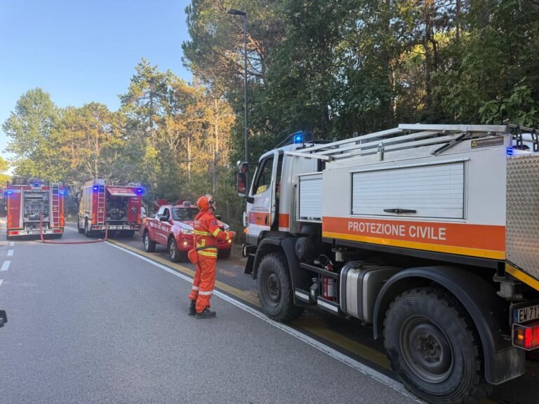 SOTTO CONTROLLO IL PRINCIPIO D’INCENDIO ALLA PINETA DI LIGNANO