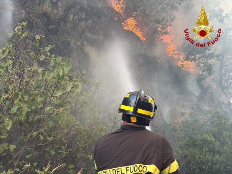 INCENDIO BOSCHIVO LUNGO LA STATALE 14 NEI PRESSI DI MONFALCONE