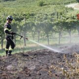 CORMONS: INCENDIO BOSCHIVO A PLESSIVA