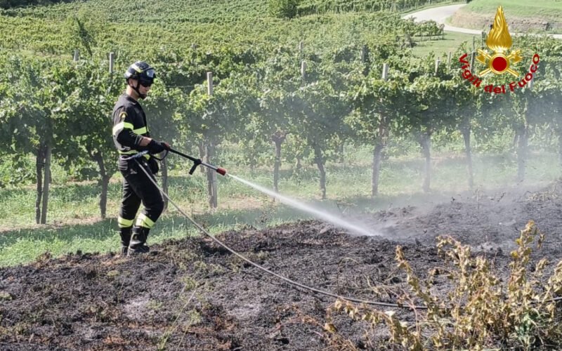 CORMONS: INCENDIO BOSCHIVO A PLESSIVA